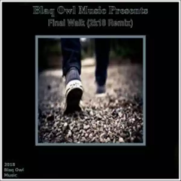 Blaq Owl - Final Walk (2K18 Remix)